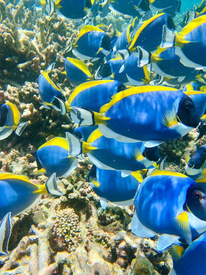 Reef Edge Thulusdhoo, Maldives Hotel Kültér fotó