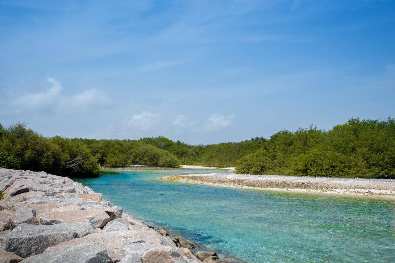 Reef Edge Thulusdhoo, Maldives Hotel Kültér fotó